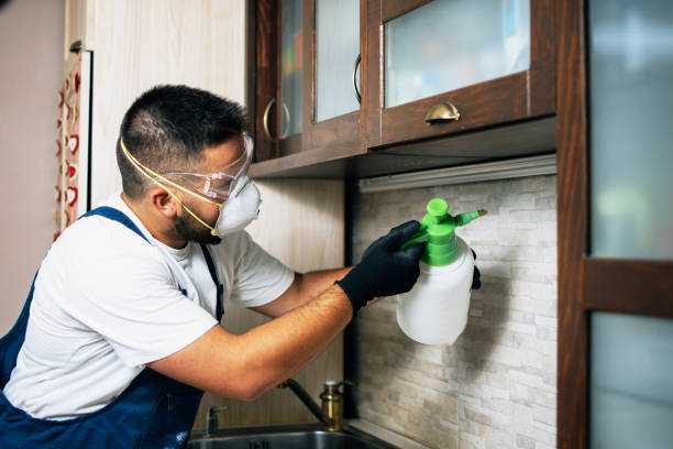 Best Pest Removal Services  in Butler Beach, FL