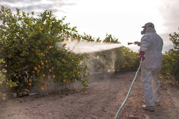 Best Pest Prevention Services  in Butler Beach, FL