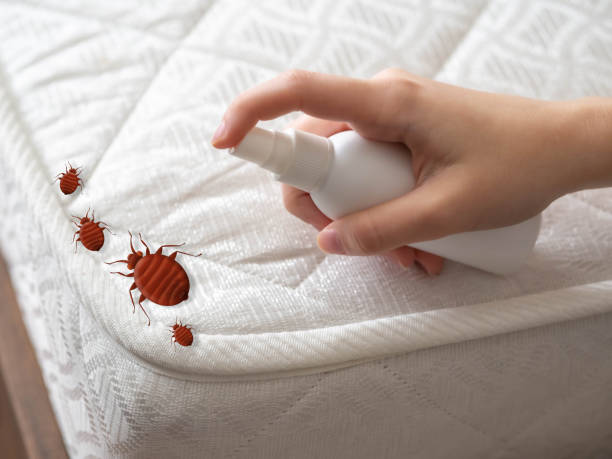 Best Affordable Pest Control Services  in Butler Beach, FL