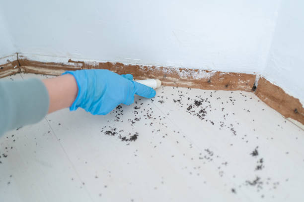 Best Pest Prevention Services  in Butler Beach, FL
