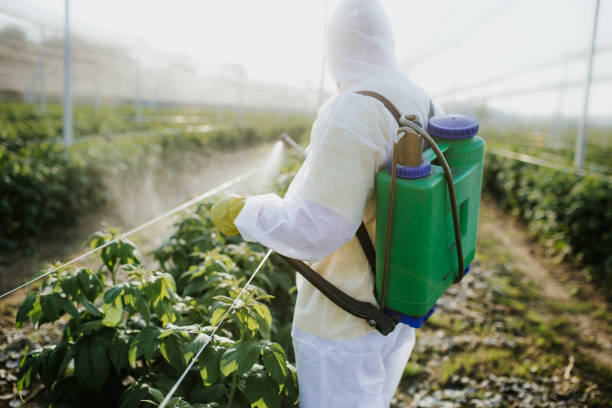 Best Best Pest Control Companies  in Butler Beach, FL
